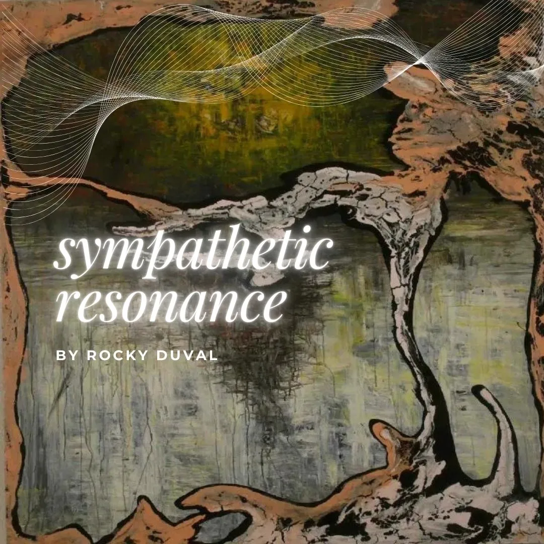 Sympathetic Resonance, a project by Rocky Duval